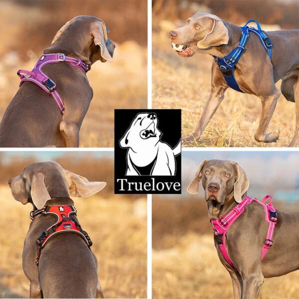 No Pull Harness Royal Blue M - Image 3