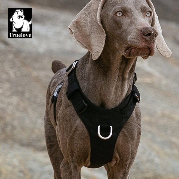 Lightweight Harness Black 2XS - Image 4
