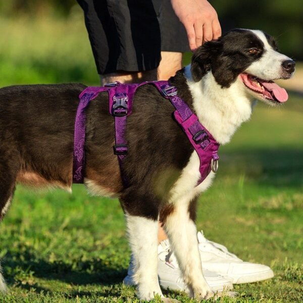 Whinhyepet Harness Black XS - Image 7