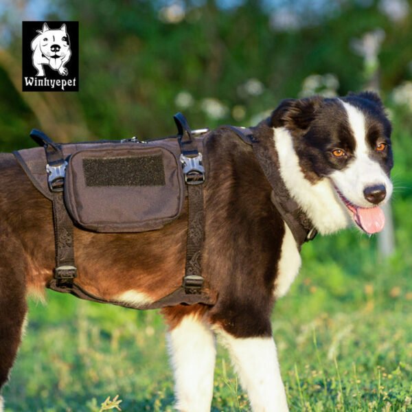 Whinhyepet Military Harness Black M - Image 3