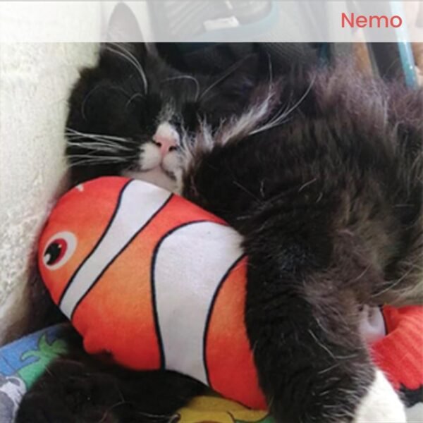 Floofi USB Electric Fish Toy (Nemo) - Image 2